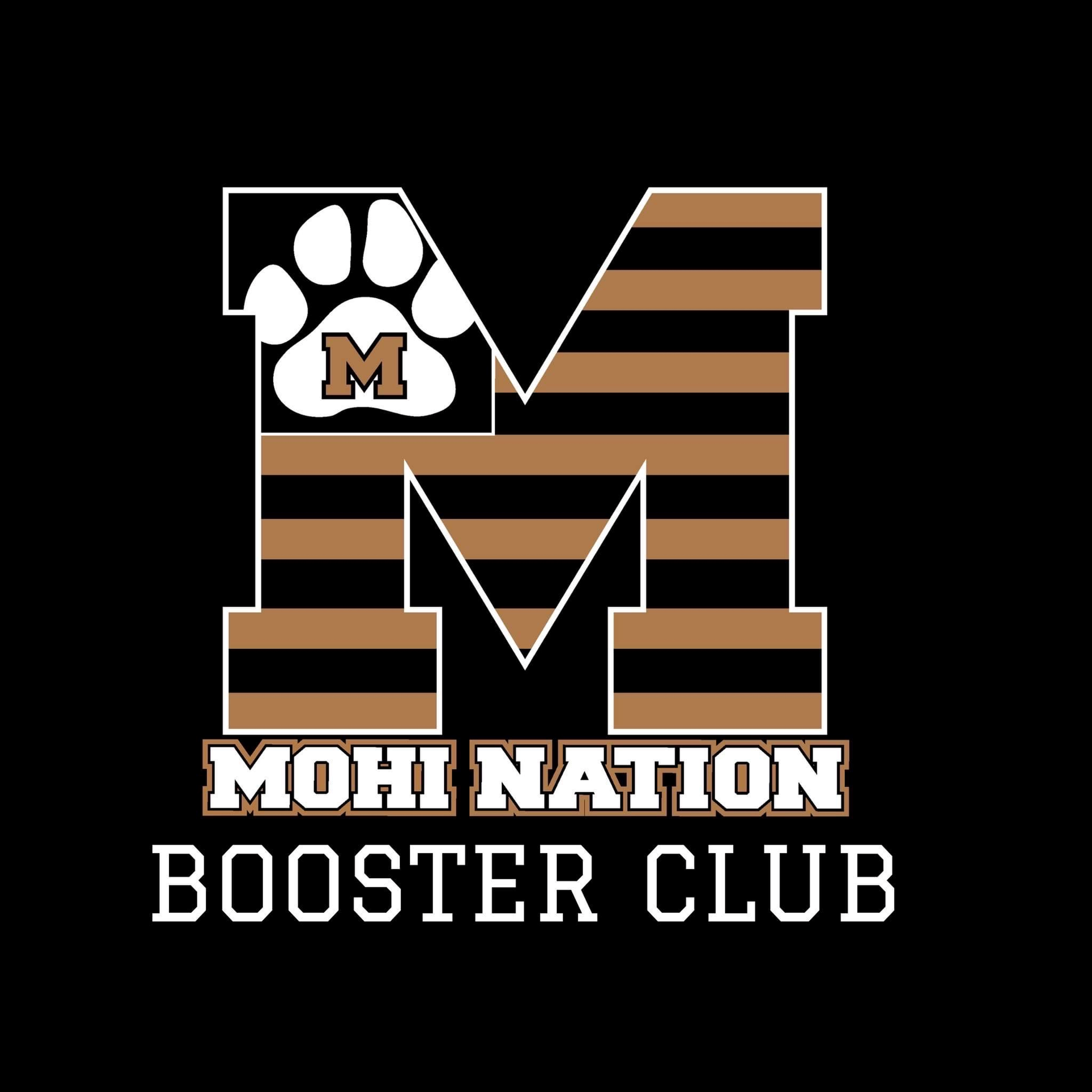 MoHi Booster Club presents Lights, Camera, Auction!