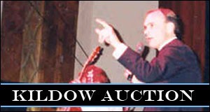 Kildow Auction